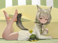 27907
