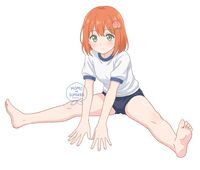 27919
