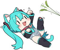 25053
