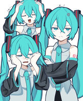 25062