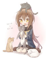 25251