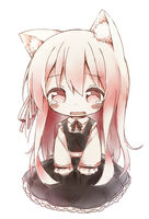 25300