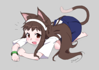 25306