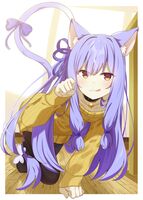 27088
