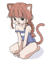 27206