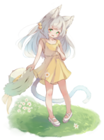 27623