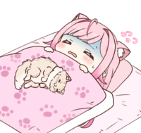 27905