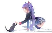 27955