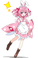 28429