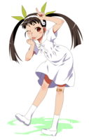 29024