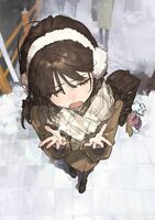29062