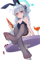 29064