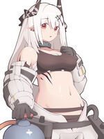 29068