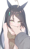 29123