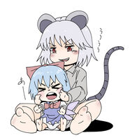 29225