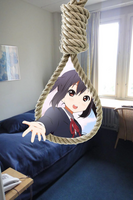 29466