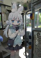 29531