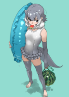 29553