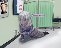 29606