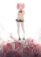 29733