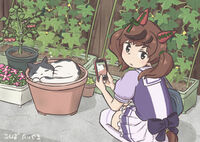 29753