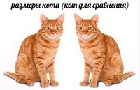 1102